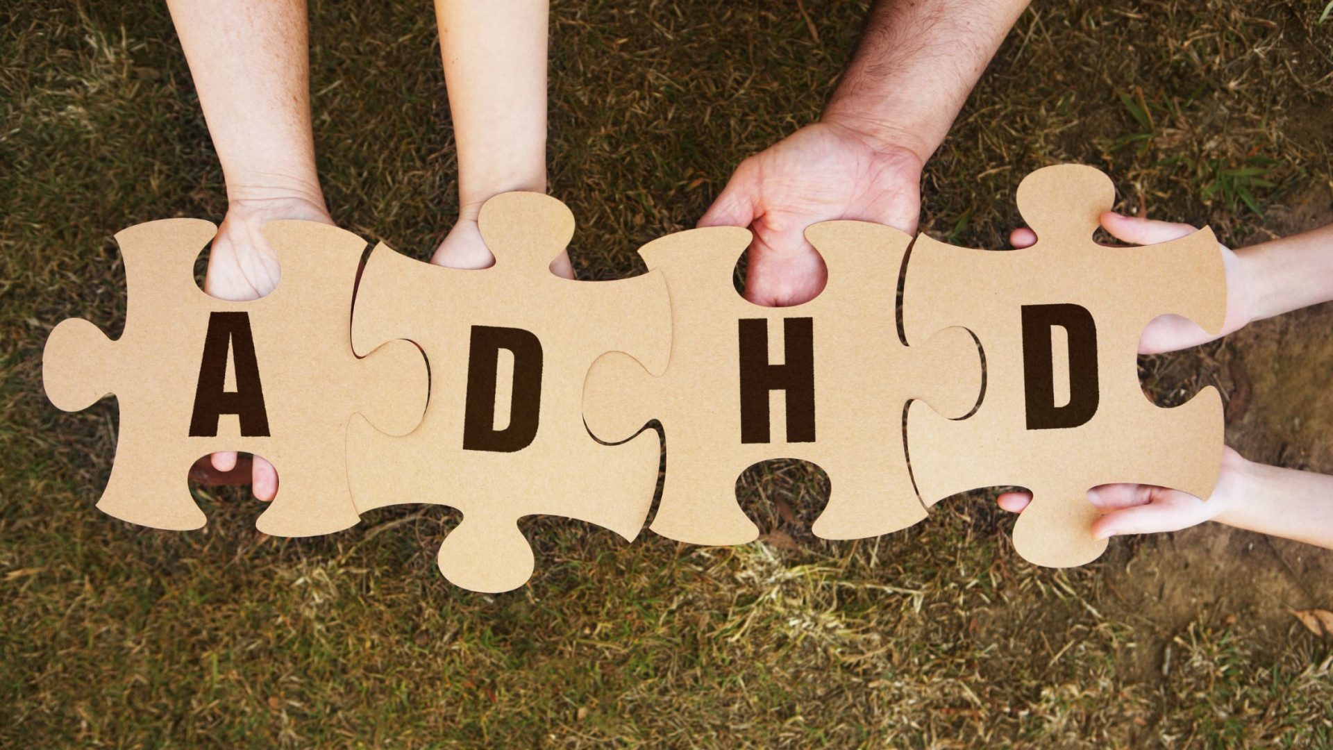 Adult ADHD Therapist